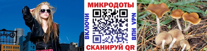 Купить где  Вязники  Галлюциногенные грибы Magic Shrooms 